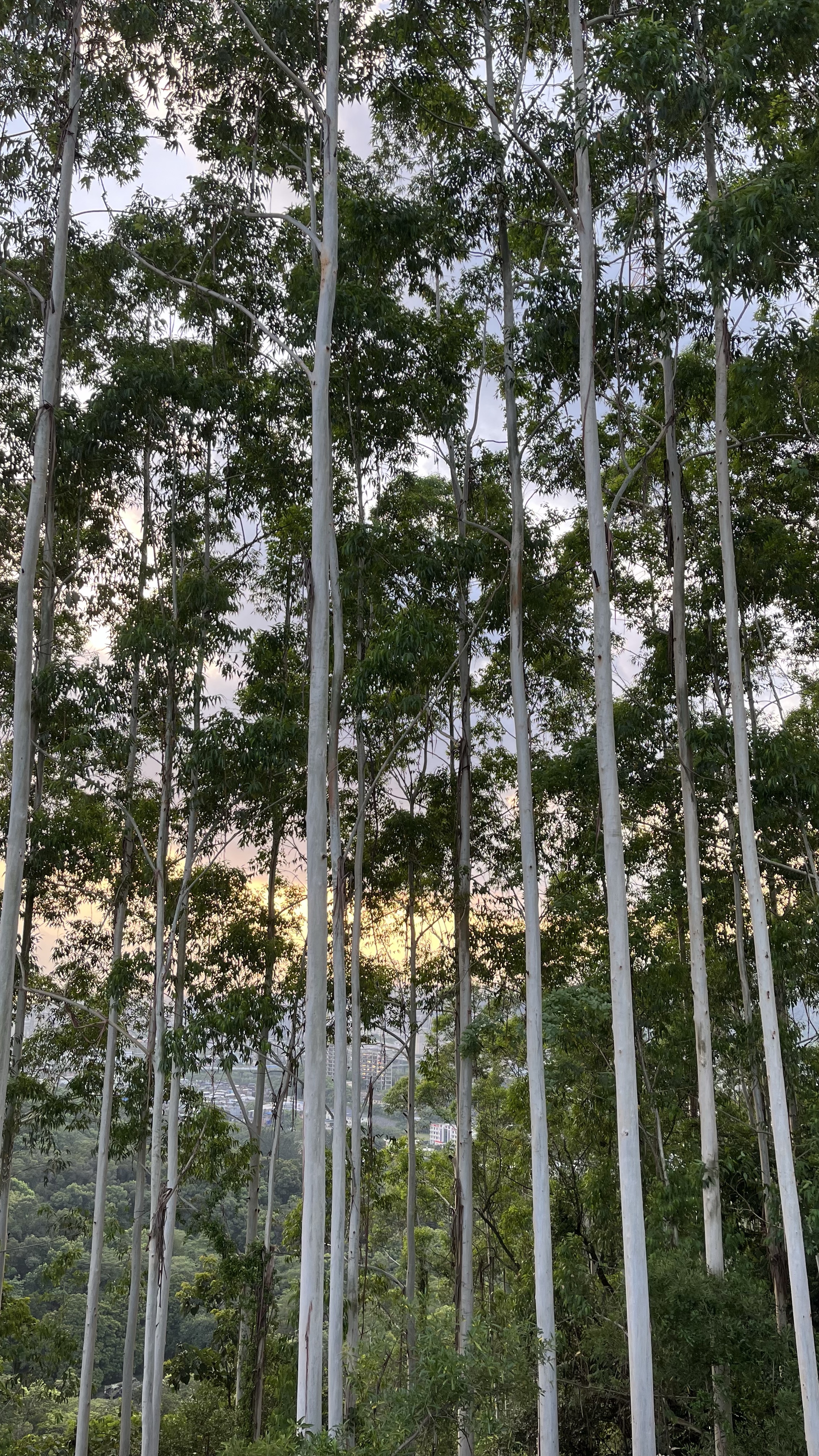 这工地舒服